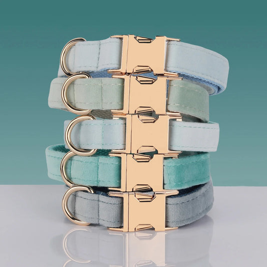 Dog Velvet Collar