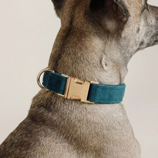 Dog Velvet Collar